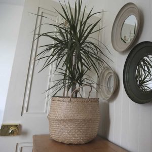Twin Bedroom Mirrors